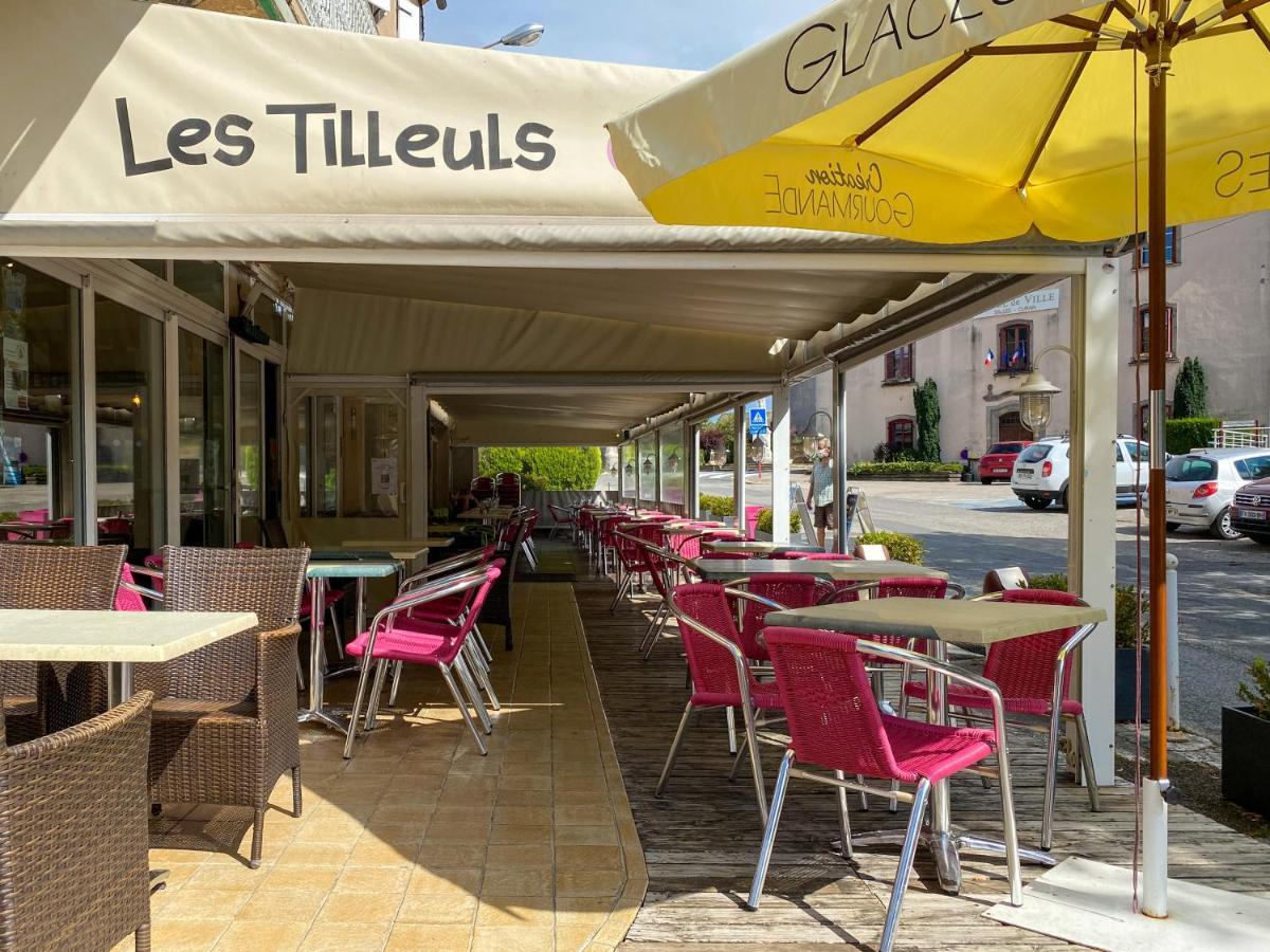 Hotel Les Tilleuls De Pareloup A Salles-Curan ภายนอก รูปภาพ