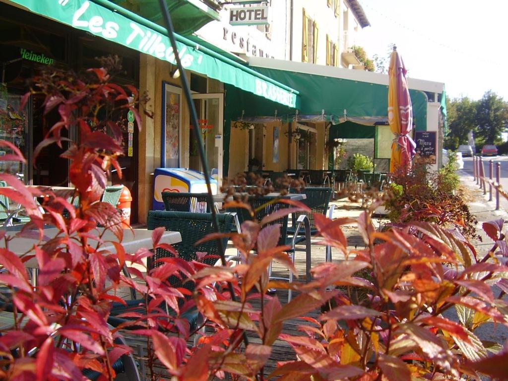Hotel Les Tilleuls De Pareloup A Salles-Curan ภายนอก รูปภาพ